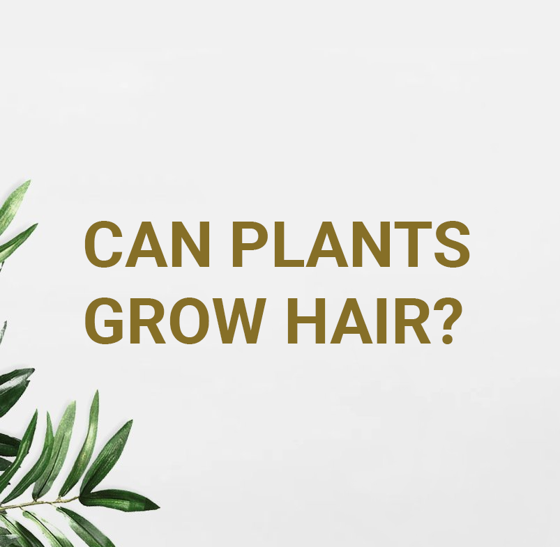 Can plants Grow hair?