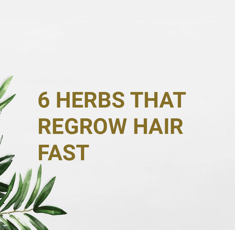 6 Herbs That Regrow Hair Fast